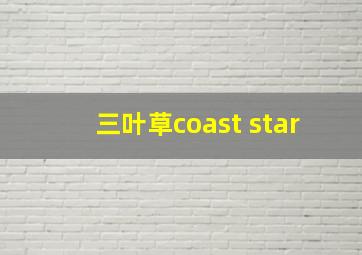 三叶草coast star